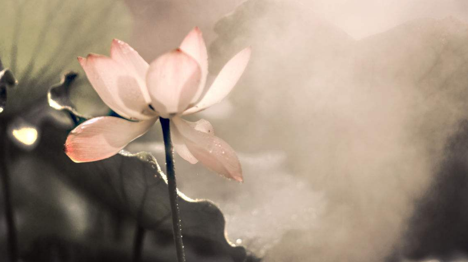 爱燃情感 爱燃情感