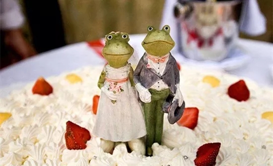 33.webp.jpg 33.webp.jpg