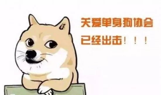 122.webp.jpg 122.webp.jpg