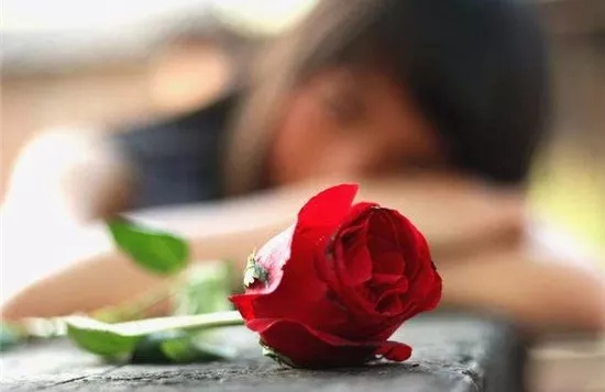 136.webp.jpg 136.webp.jpg