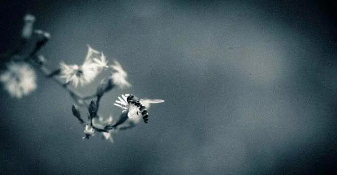 爱燃情感 爱燃情感