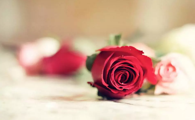 爱燃情感 爱燃情感