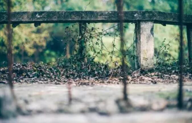 爱燃情感 爱燃情感