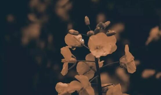 爱燃情感 爱燃情感