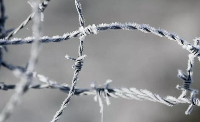 爱燃情感 爱燃情感