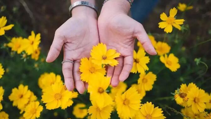 爱燃情感:检验老公爱不爱你,就看他愿不愿意为你做这10件事 爱燃情感:检验老公爱不爱你,就看他愿不愿意为你做这10件事