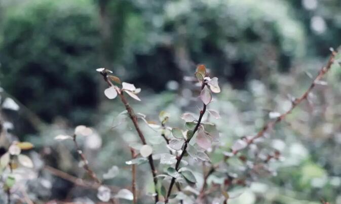 爱燃情感:检验老公爱不爱你,就看他愿不愿意为你做这10件事 爱燃情感:检验老公爱不爱你,就看他愿不愿意为你做这10件事