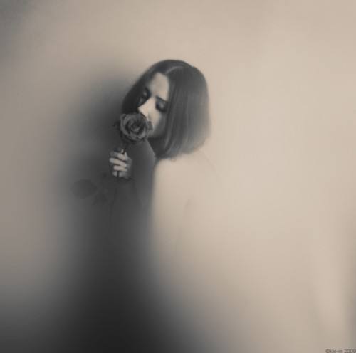 timg (6).jpg timg (6).jpg